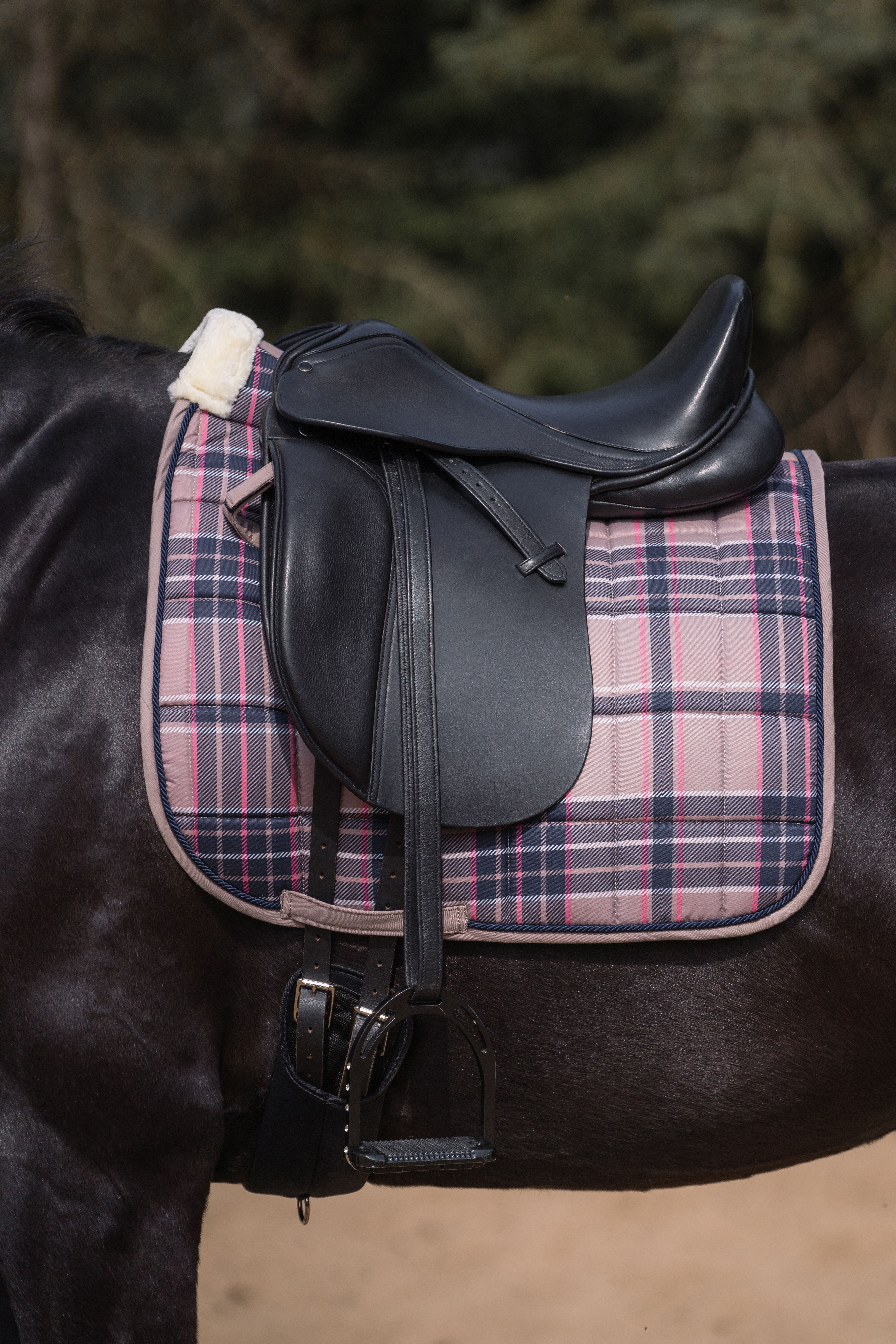 Schabrack dressur Cambridge ponni - 2