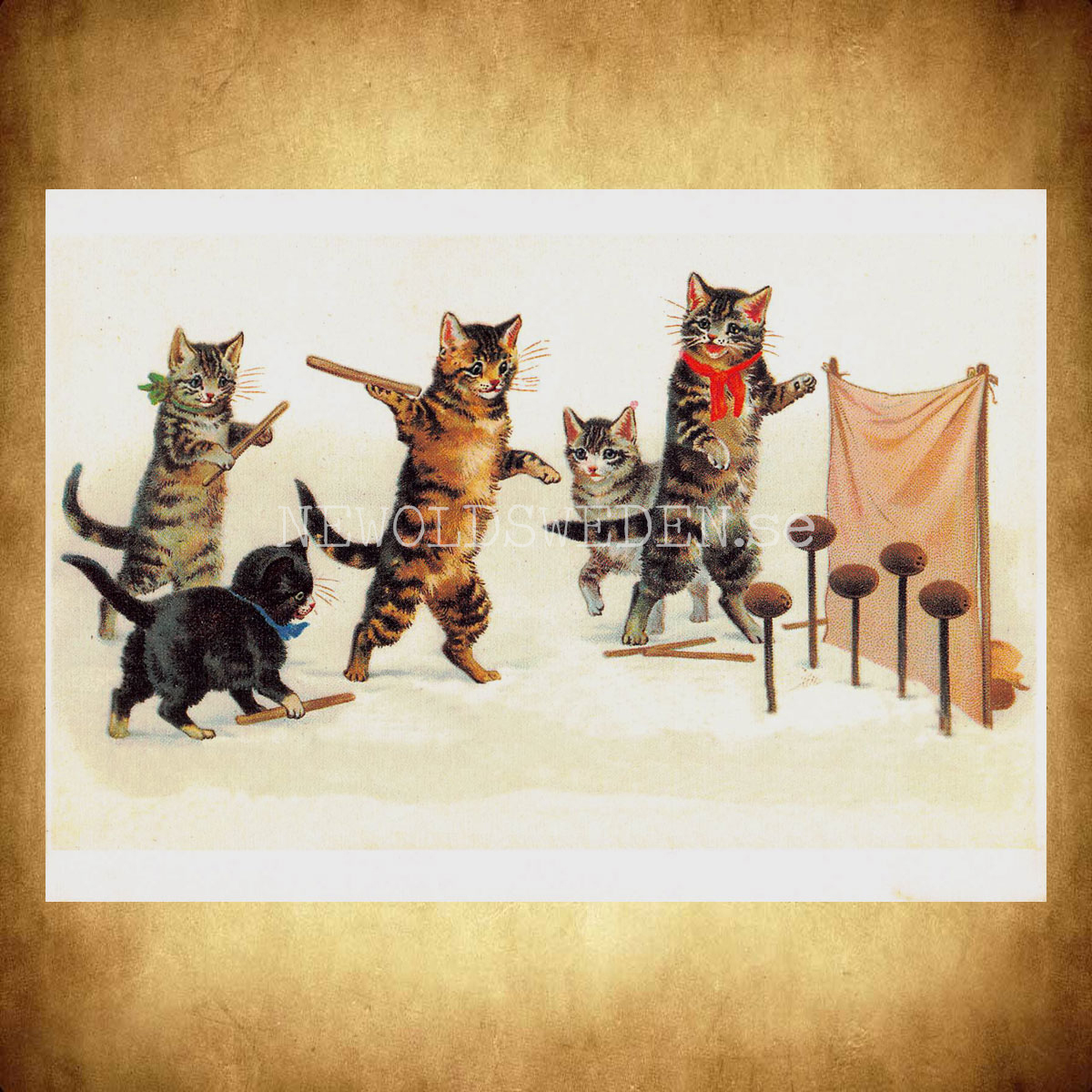 Katter - Vykort - Vykort A5 - 2