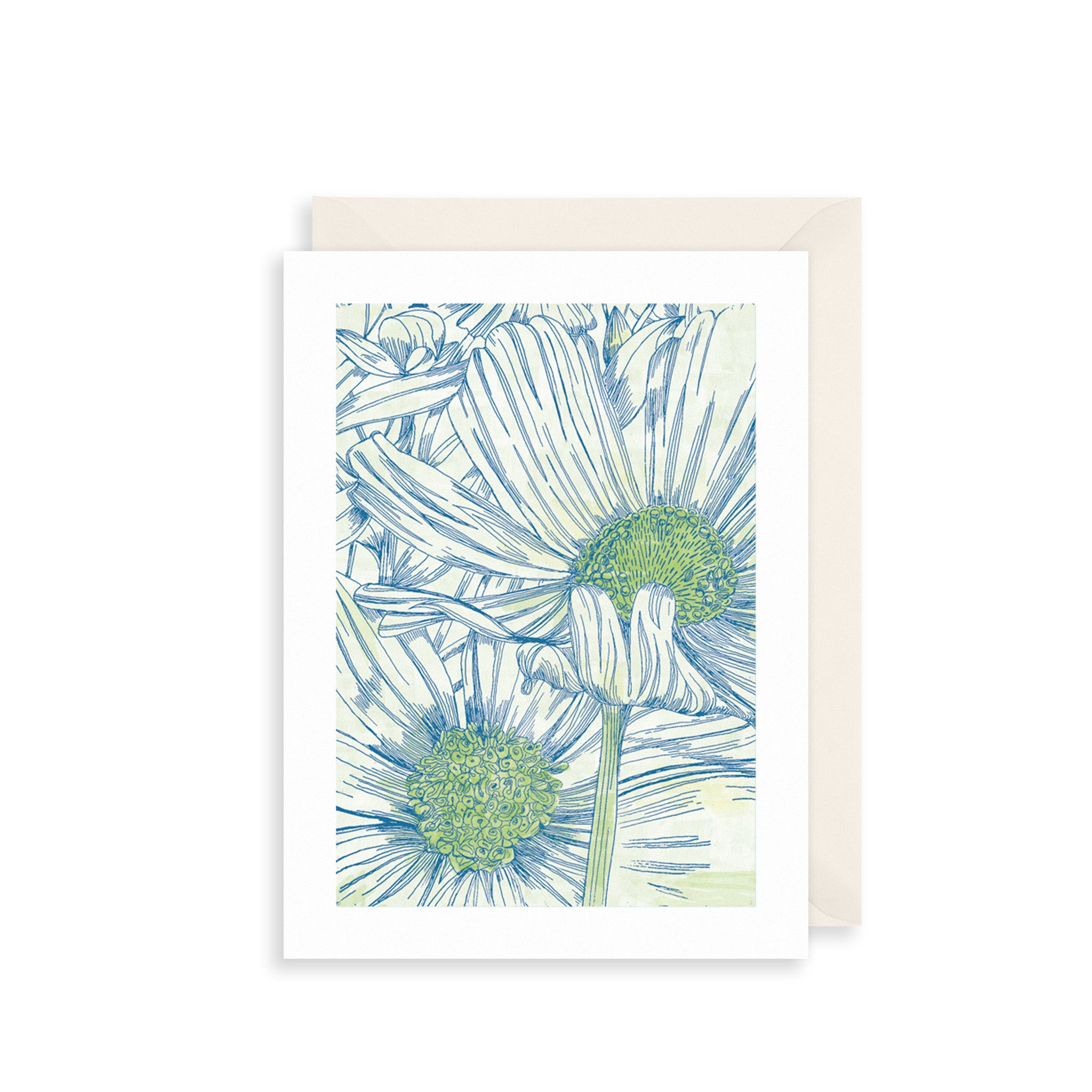 Daisies Greetings Card