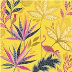 Happy Birthday Ferns, Greeting Card