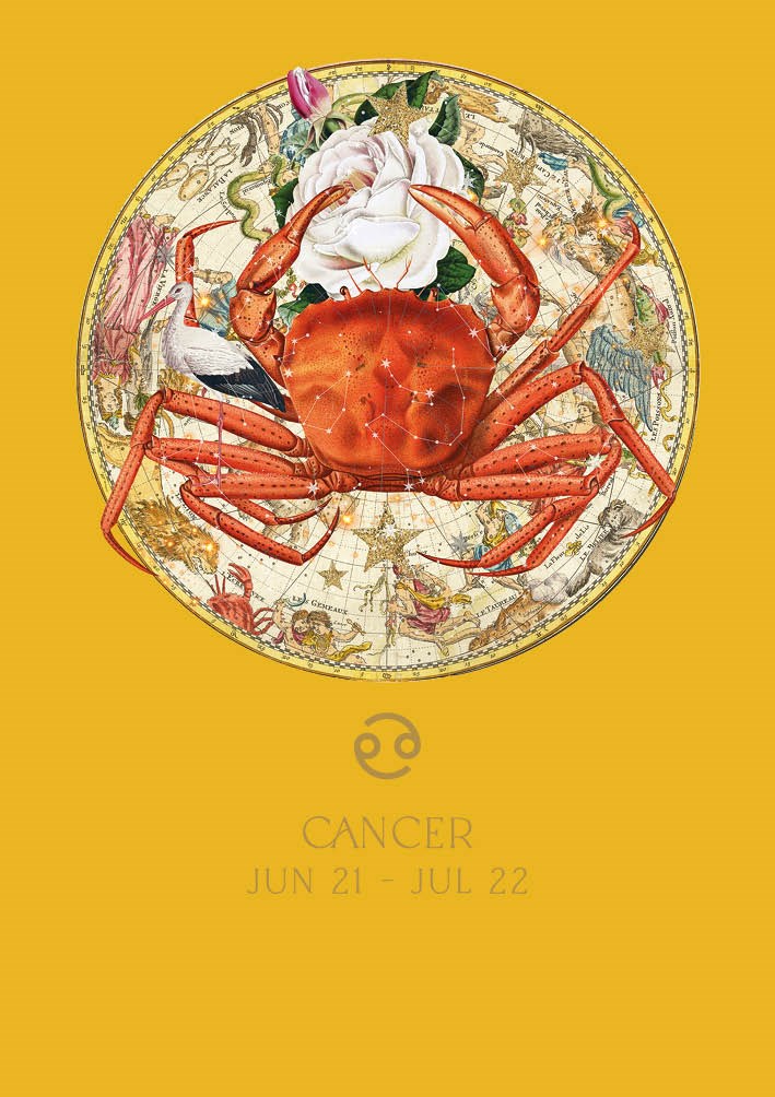 Cancer, Greeting Card