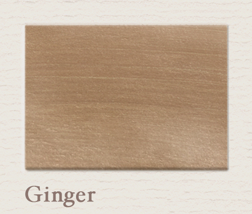 Ginger - PAINTING THE PAST