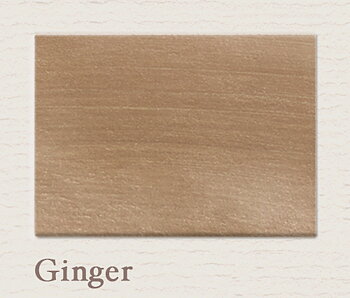 Ginger - PAINTING THE PAST