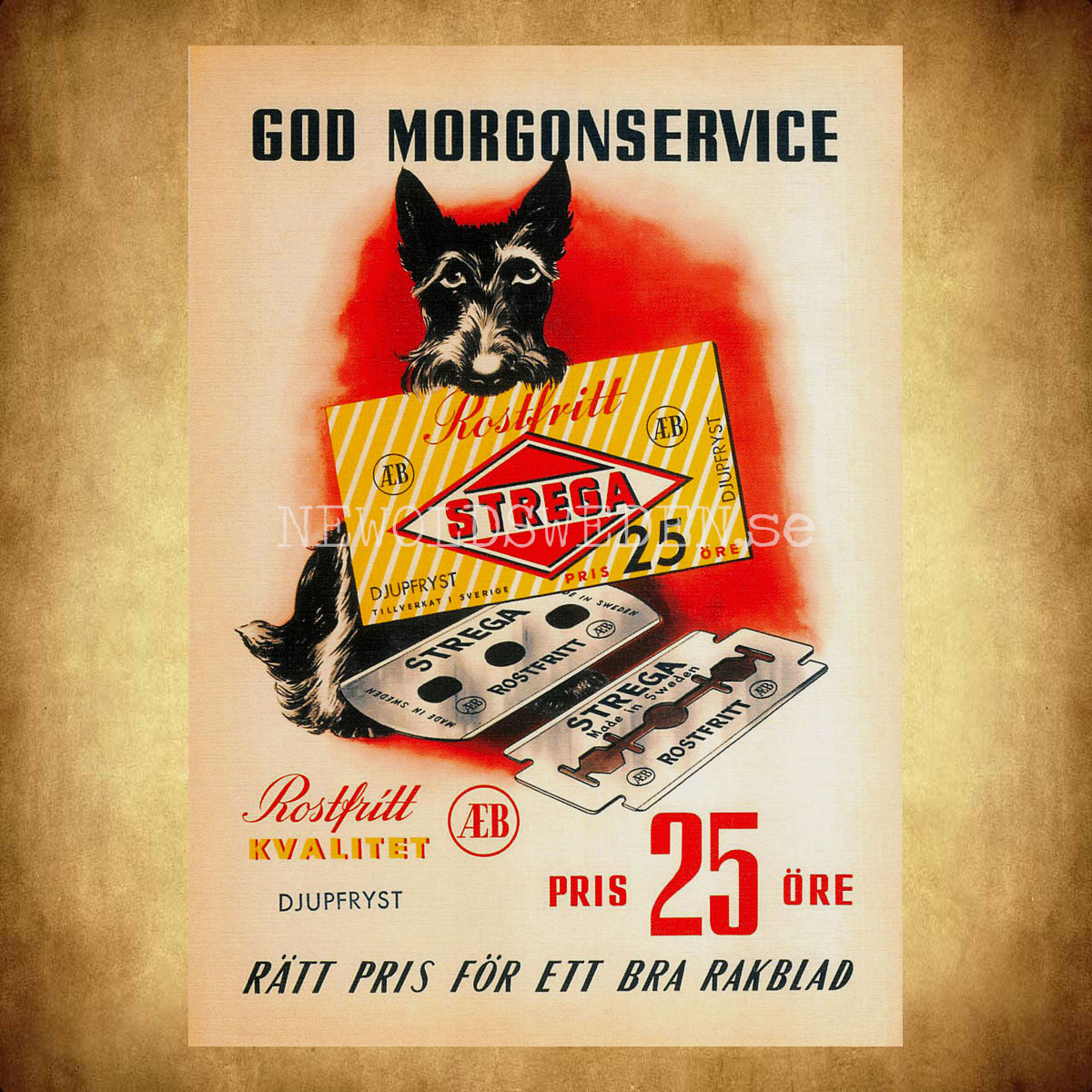 STREGA SVENSKA RAKBLAD - Vykort A5 - 2