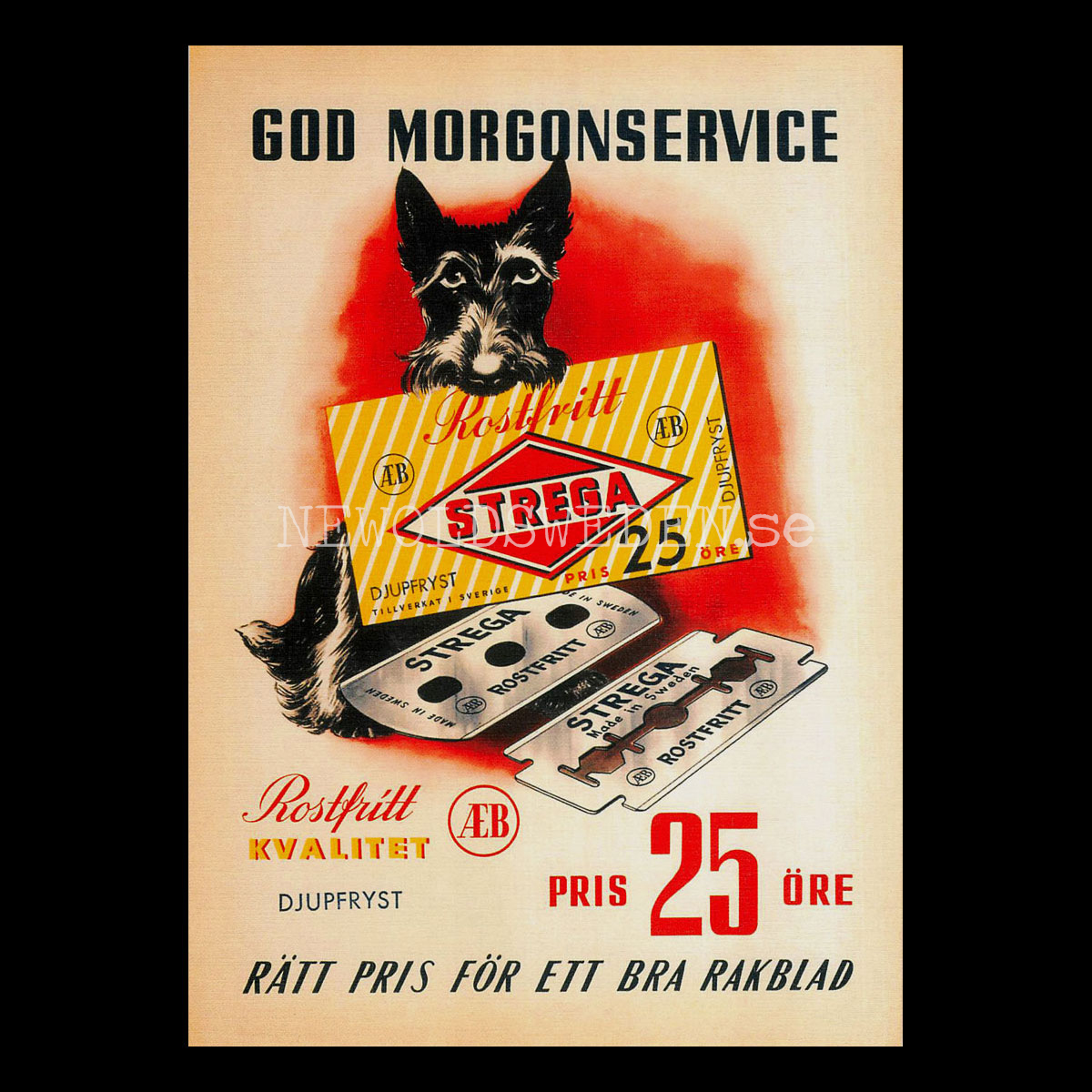 STREGA SVENSKA RAKBLAD - Vykort A5