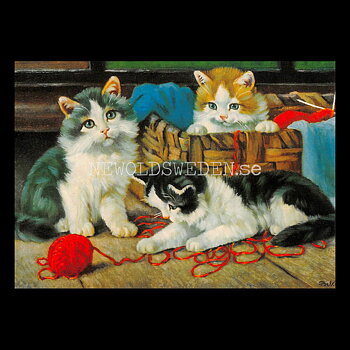 Kattungar TRE - Vykort A5