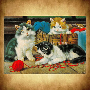 Kattungar TRE - Vykort A5