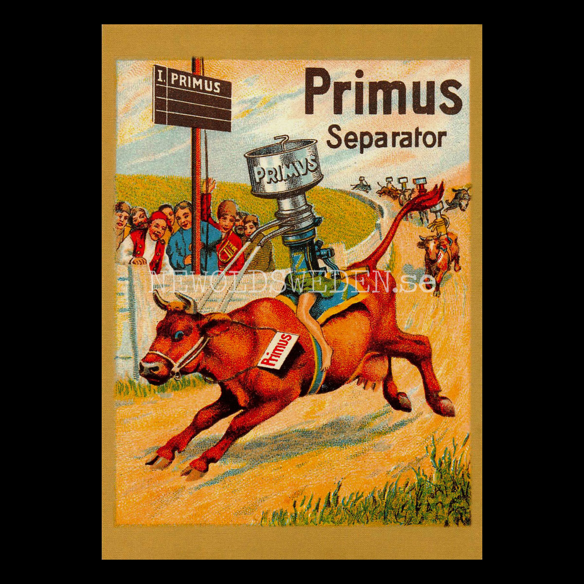 PRIMUS SEPARATOR Första plats- Vykort A5