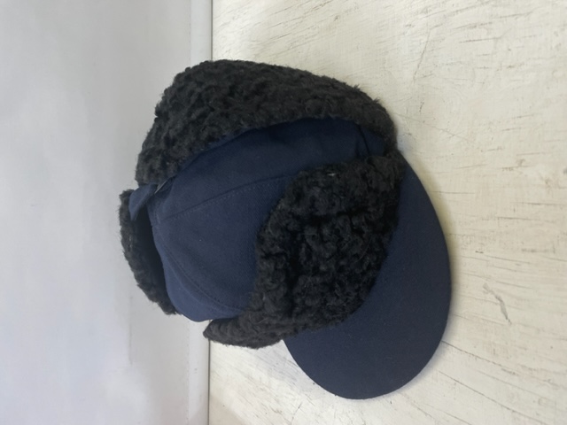 Vintermössa à la Lappland