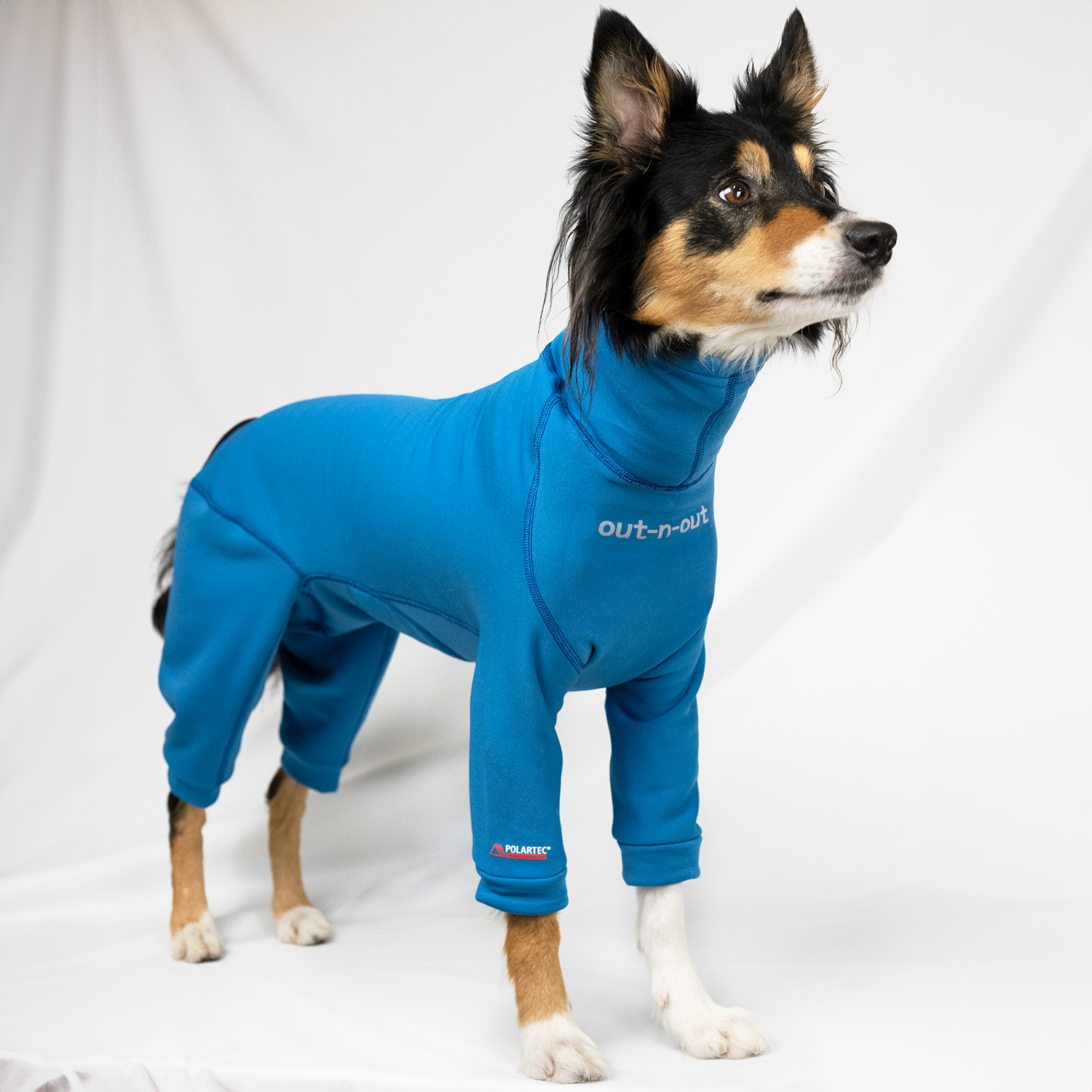 Out-n-out Jumpsuit (long legs) Seaport