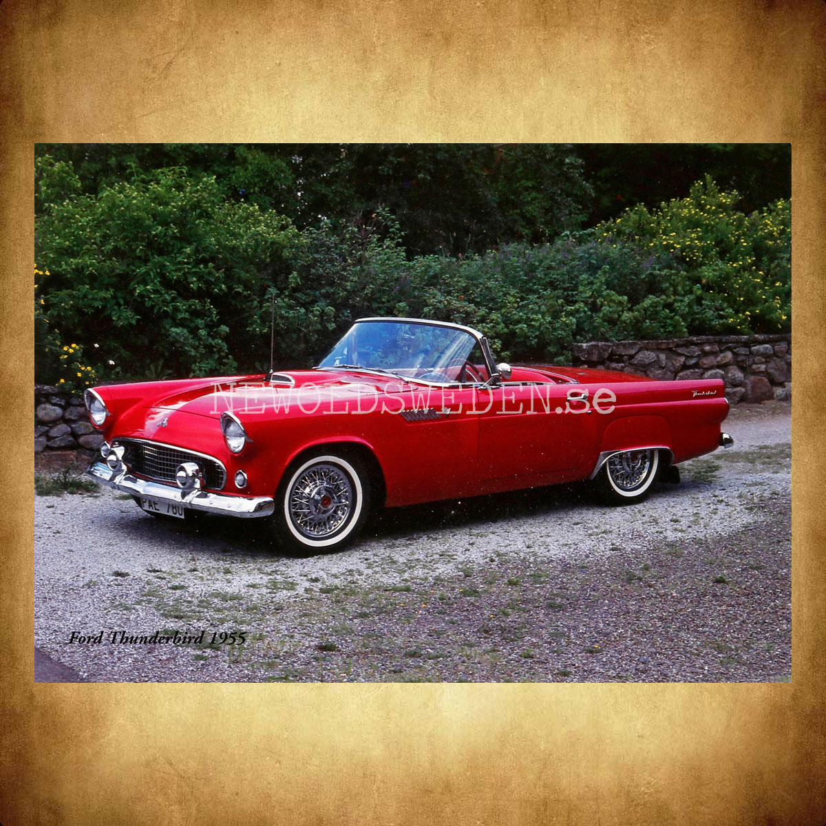 Ford Thunderbird 1955 - Vykort A5 - 2