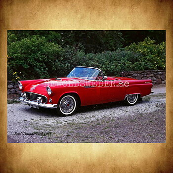 Ford Thunderbird 1955 - Vykort A5
