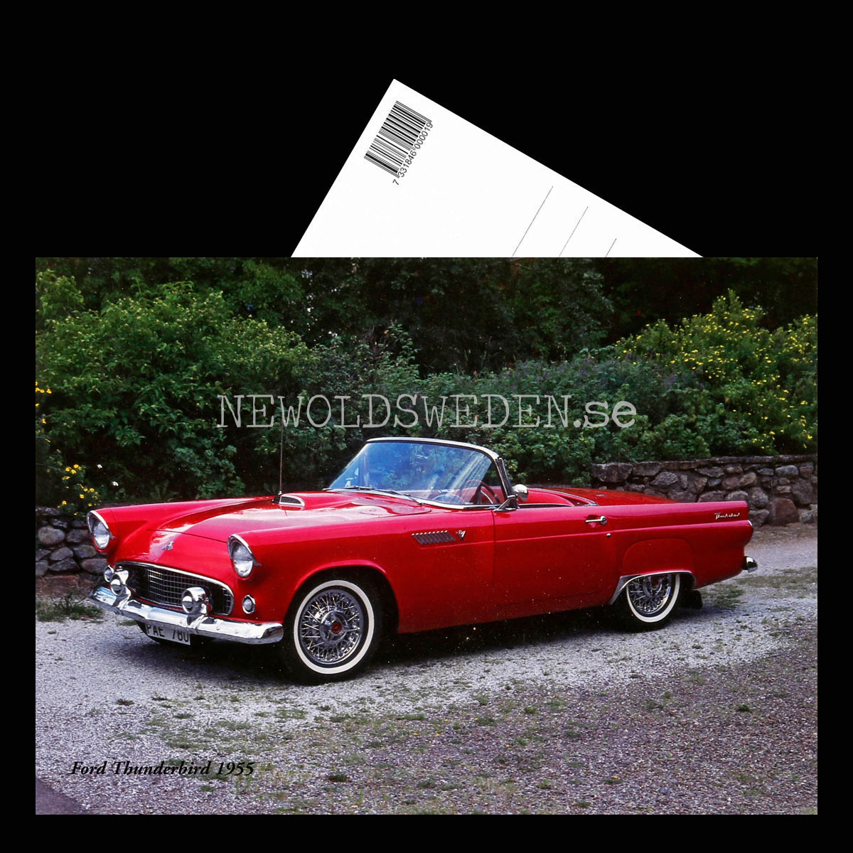 Ford Thunderbird 1955 - Vykort A5 - 3