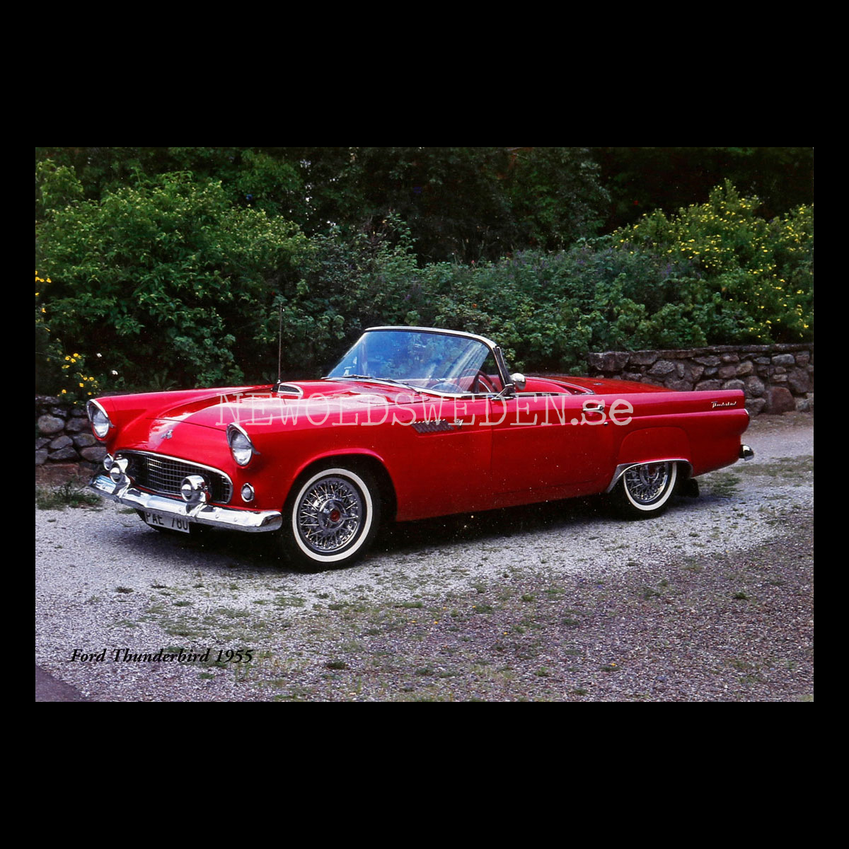 Ford Thunderbird 1955 - Vykort A5