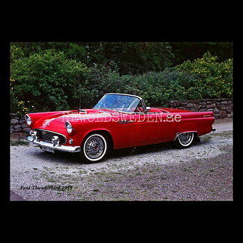 Ford Thunderbird 1955 - Vykort A5