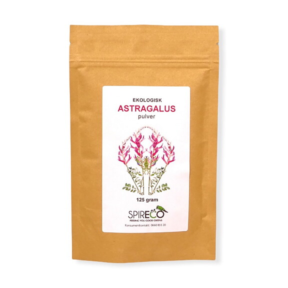 Astragalus Pulver 125g Spireco