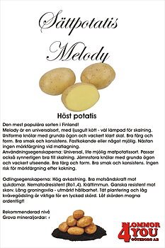 Sättpotatis Melody 2 Kilo