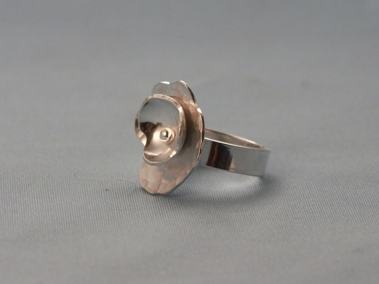 Ring - 2