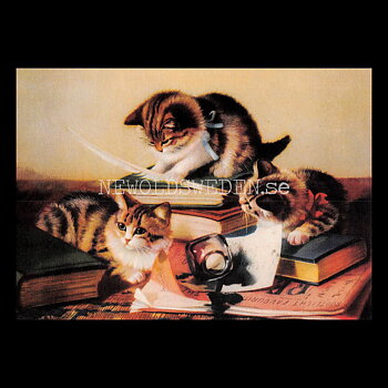Kattungar TRE - Vykort A5