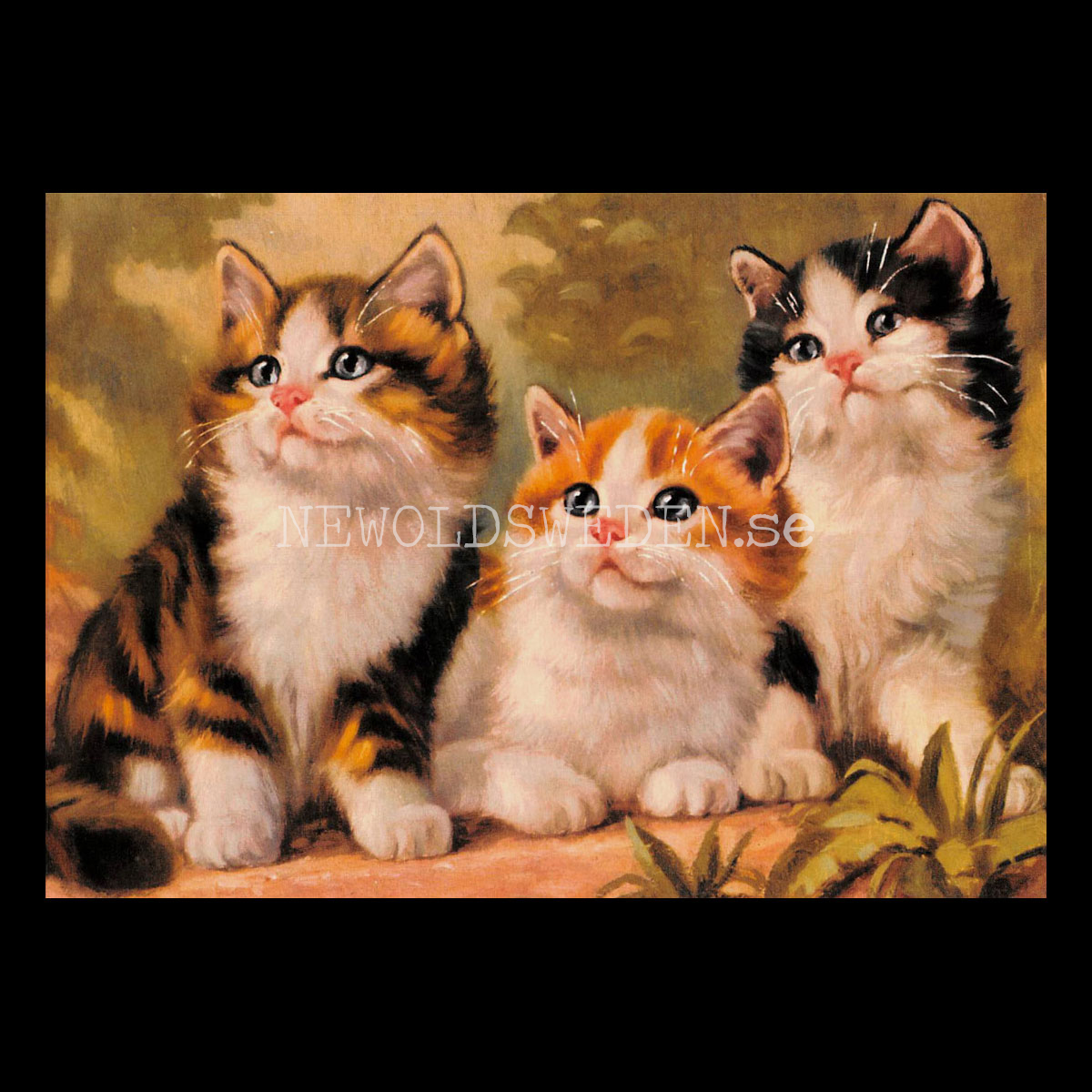 Kattungar TRE - Vykort A5