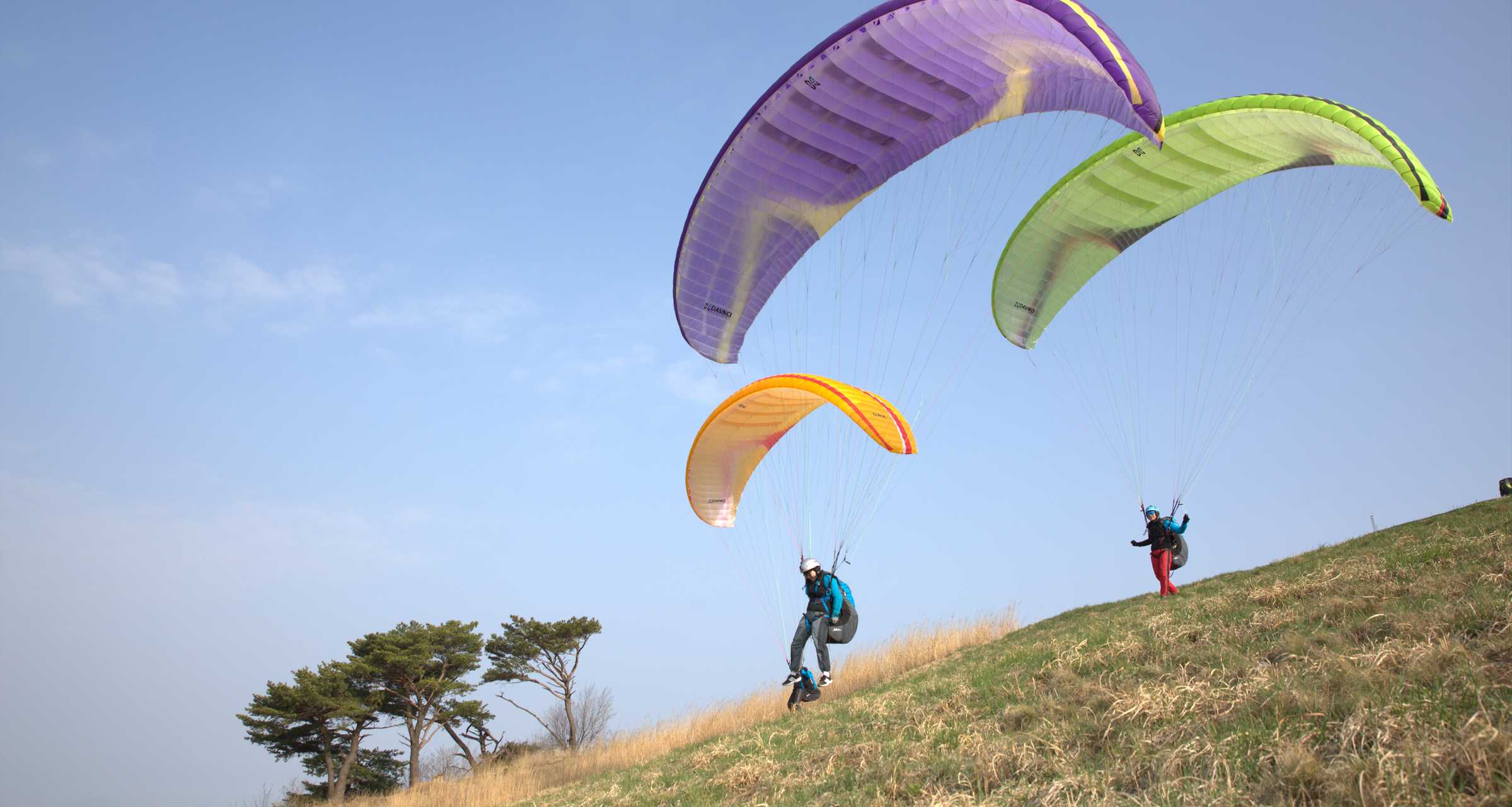 DAVINCI gliders  CLASSIC2 Low EN B 