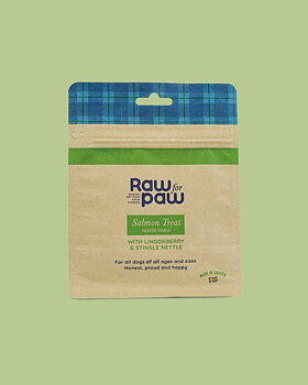 Raw For Paw Salmon Treat Frystorkat Hundgodis - 50 g
