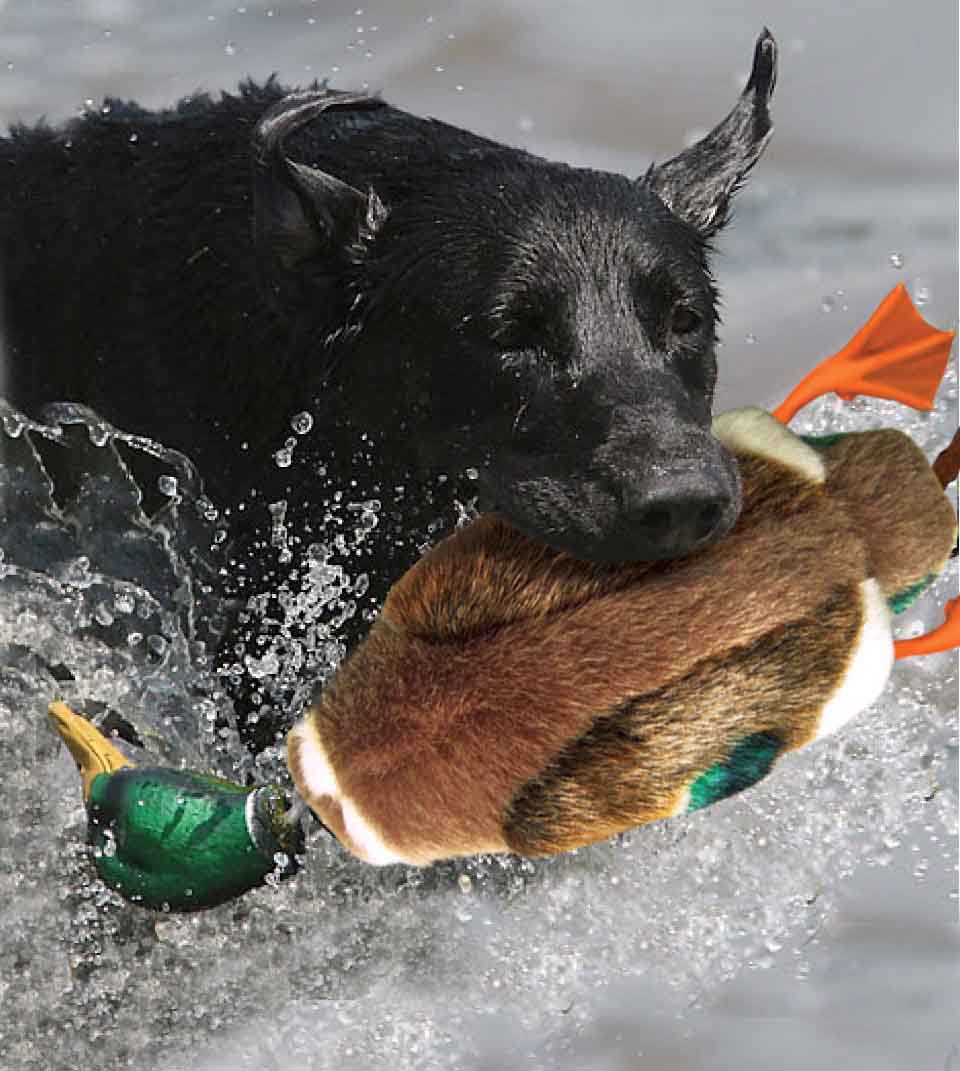 AFP Classic Hunter Mallard Dog Toy 