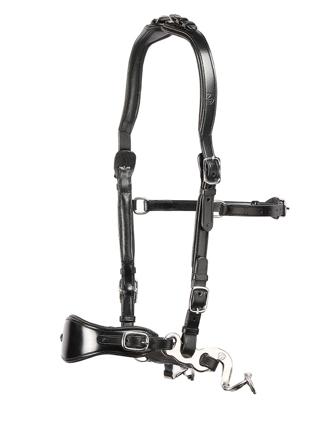 Hackamore bridle Edix© Q-Classic Anatomical - 3