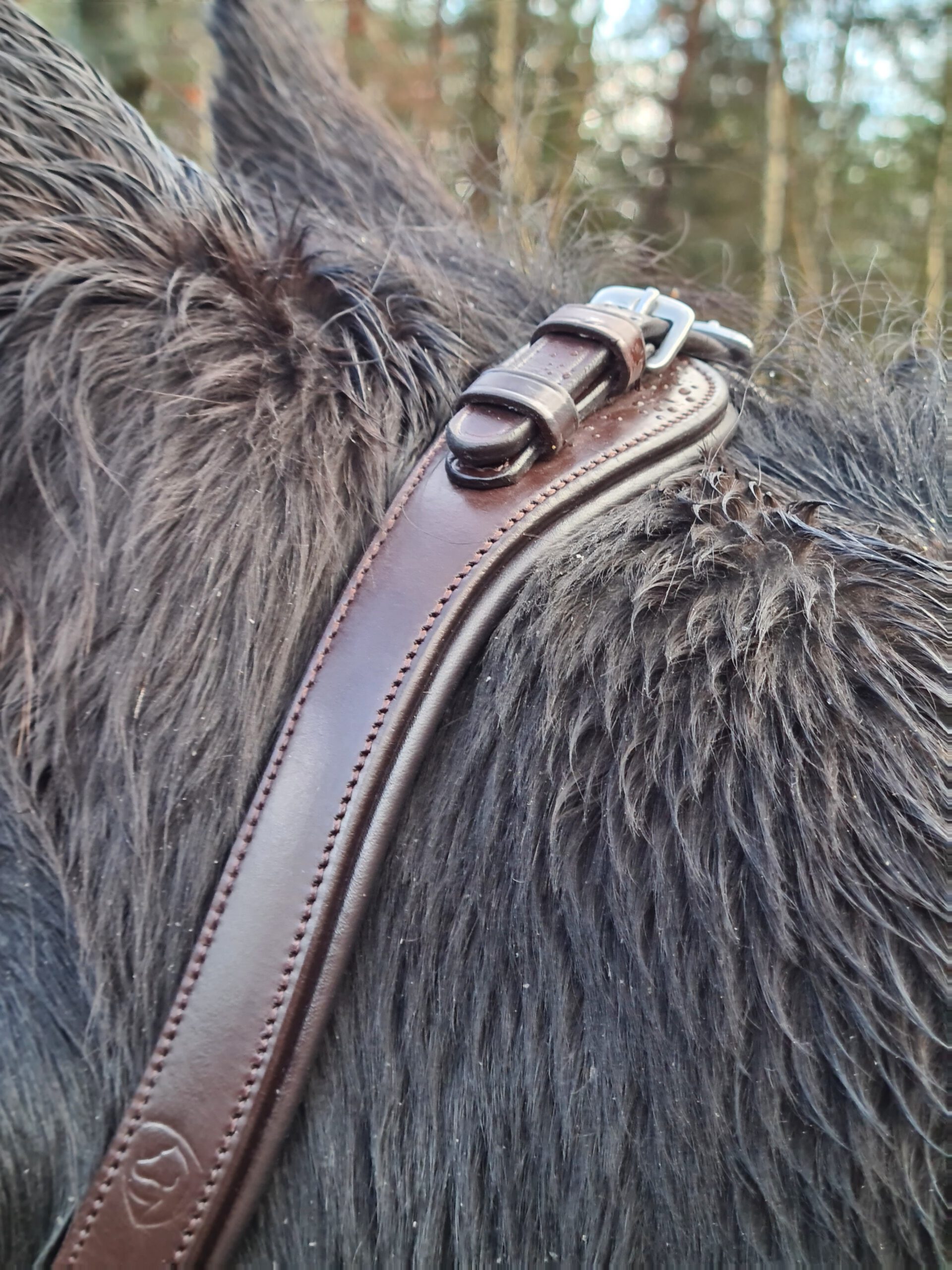 Hackamore bridle Edix© Q-Classic Anatomical - 6