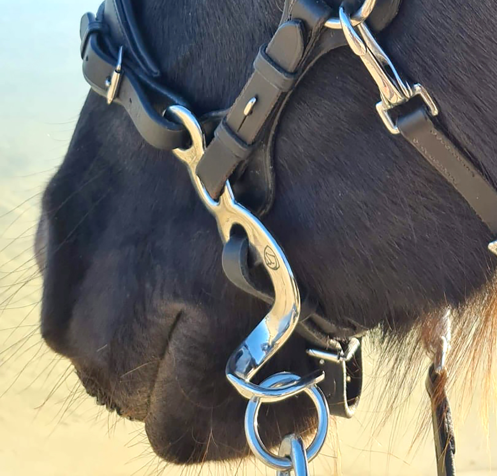 Hackamore bridle Edix© Q-Classic Anatomical - 7
