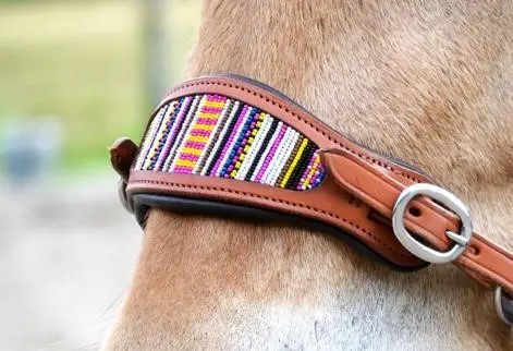  Edix© ED4 Brightstar Hackamoreträns Anatomical Multicolor Cognac - 3