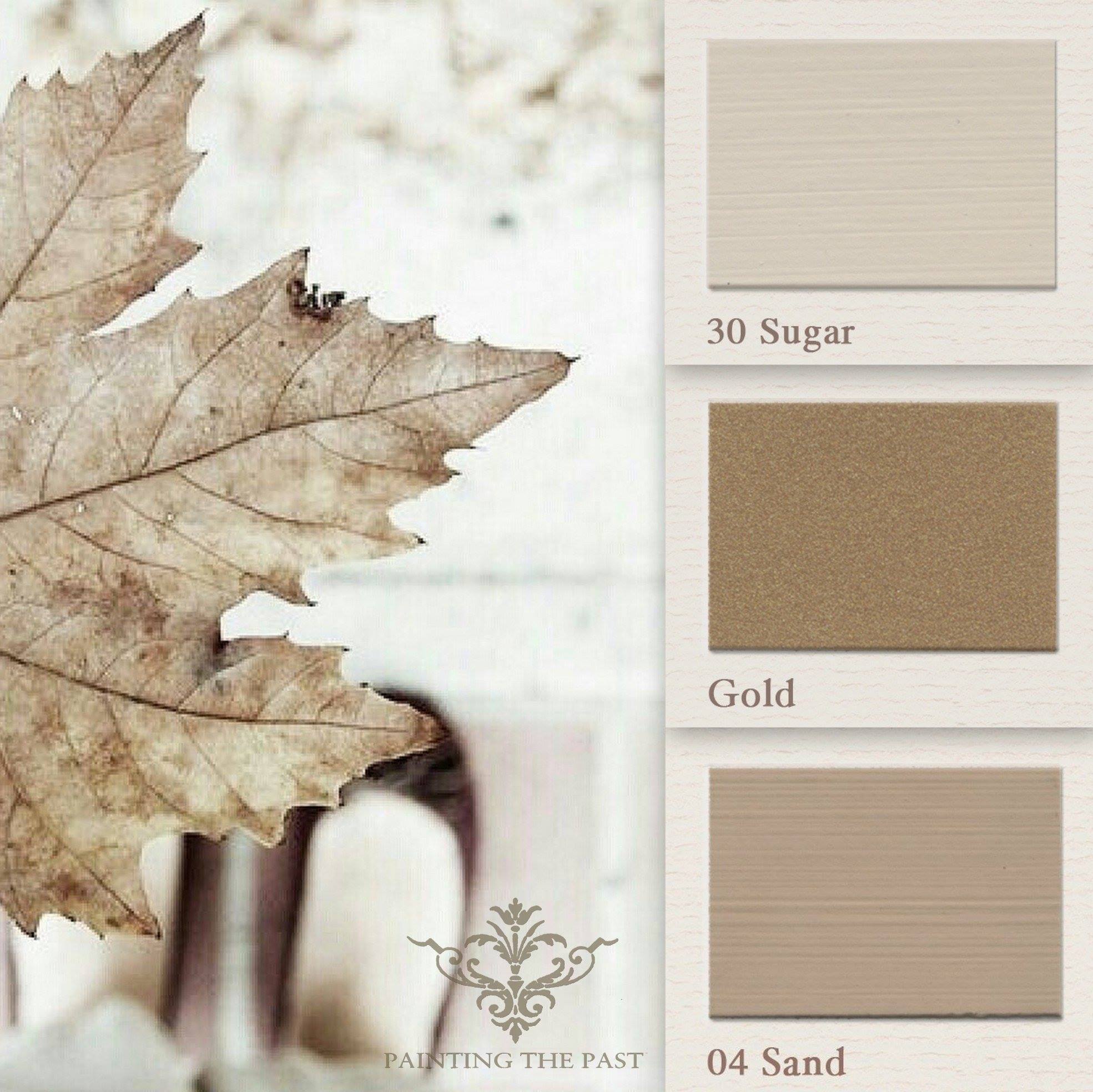 Moodboard - Sugar - PAINTING THE PAST