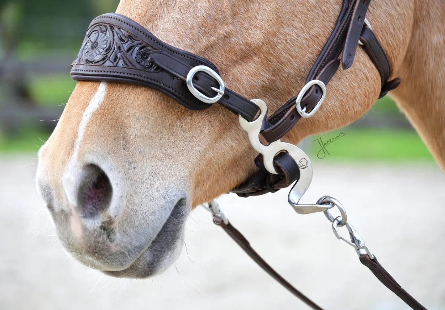 Hackamore bridle Anatomical, Edix© Rose, natural - 7
