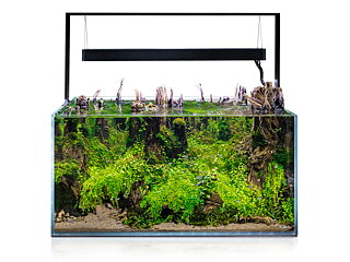 Aquael - Ultrascape Forest 243L