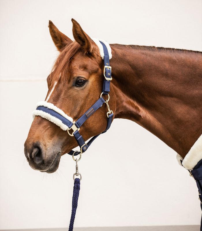 Waldhausen Exclusive Halter midnight blue/beige - 2