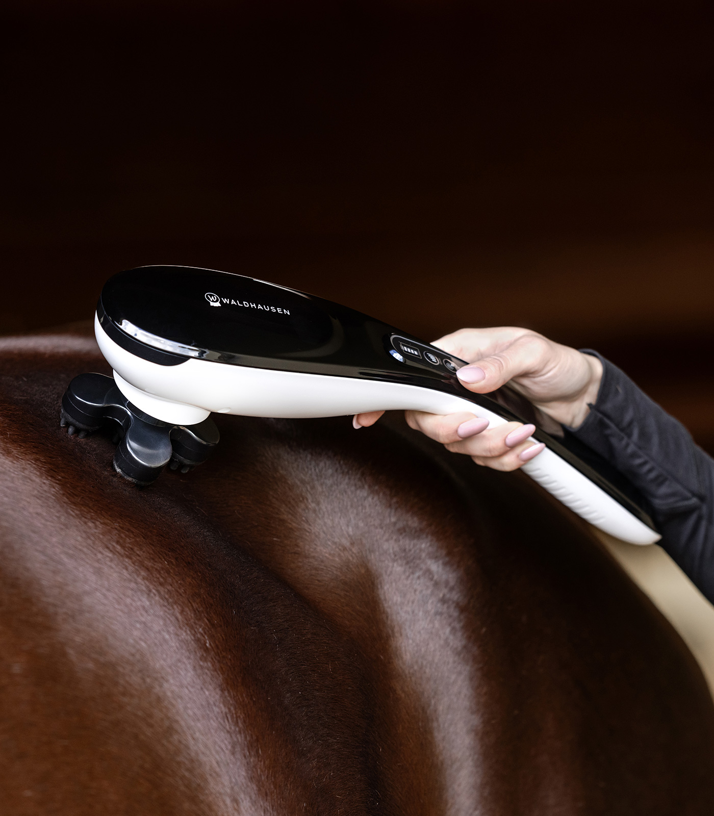 Waldhausen Super Dandy GO-Anywhere, Rechargable - 3