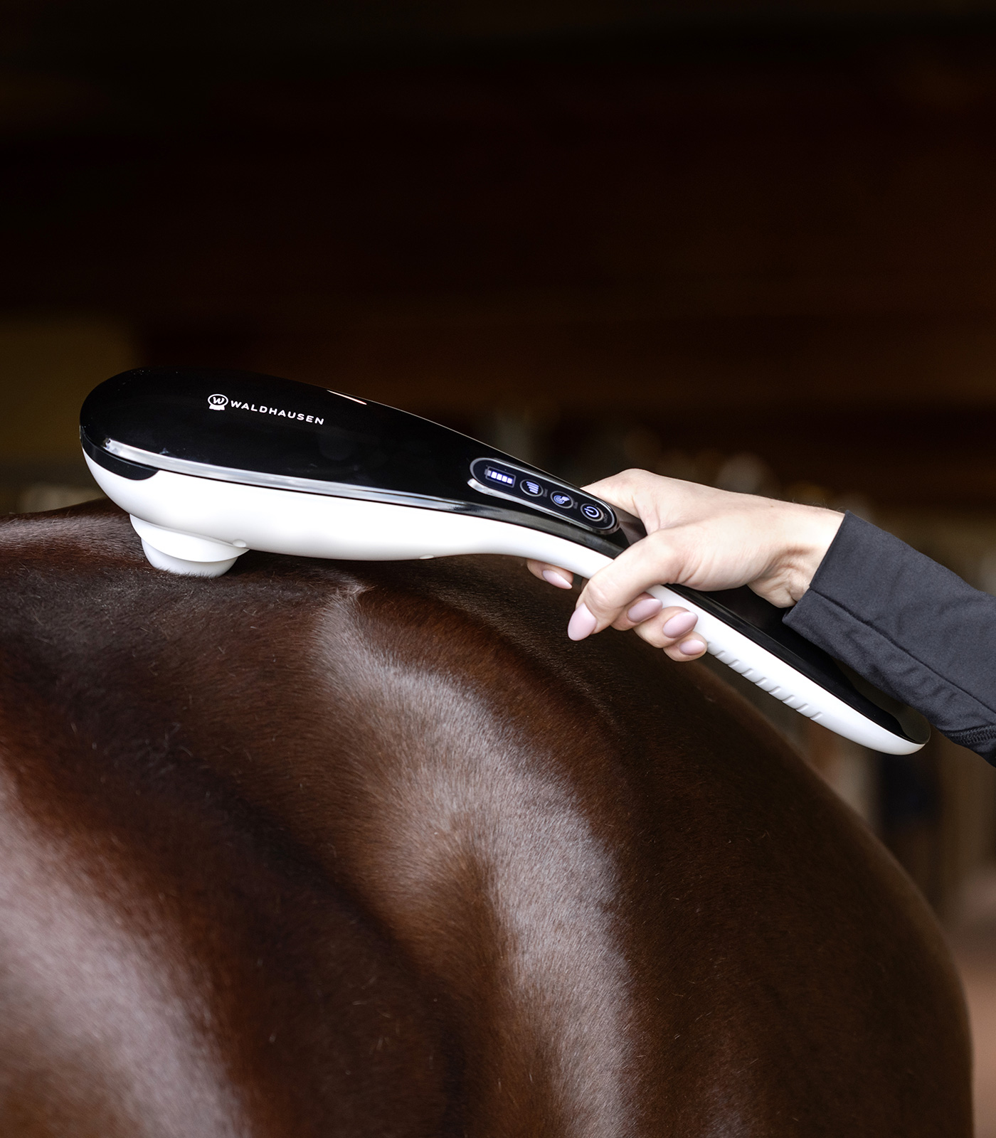 Waldhausen Super Dandy GO-Anywhere, Rechargable - 4