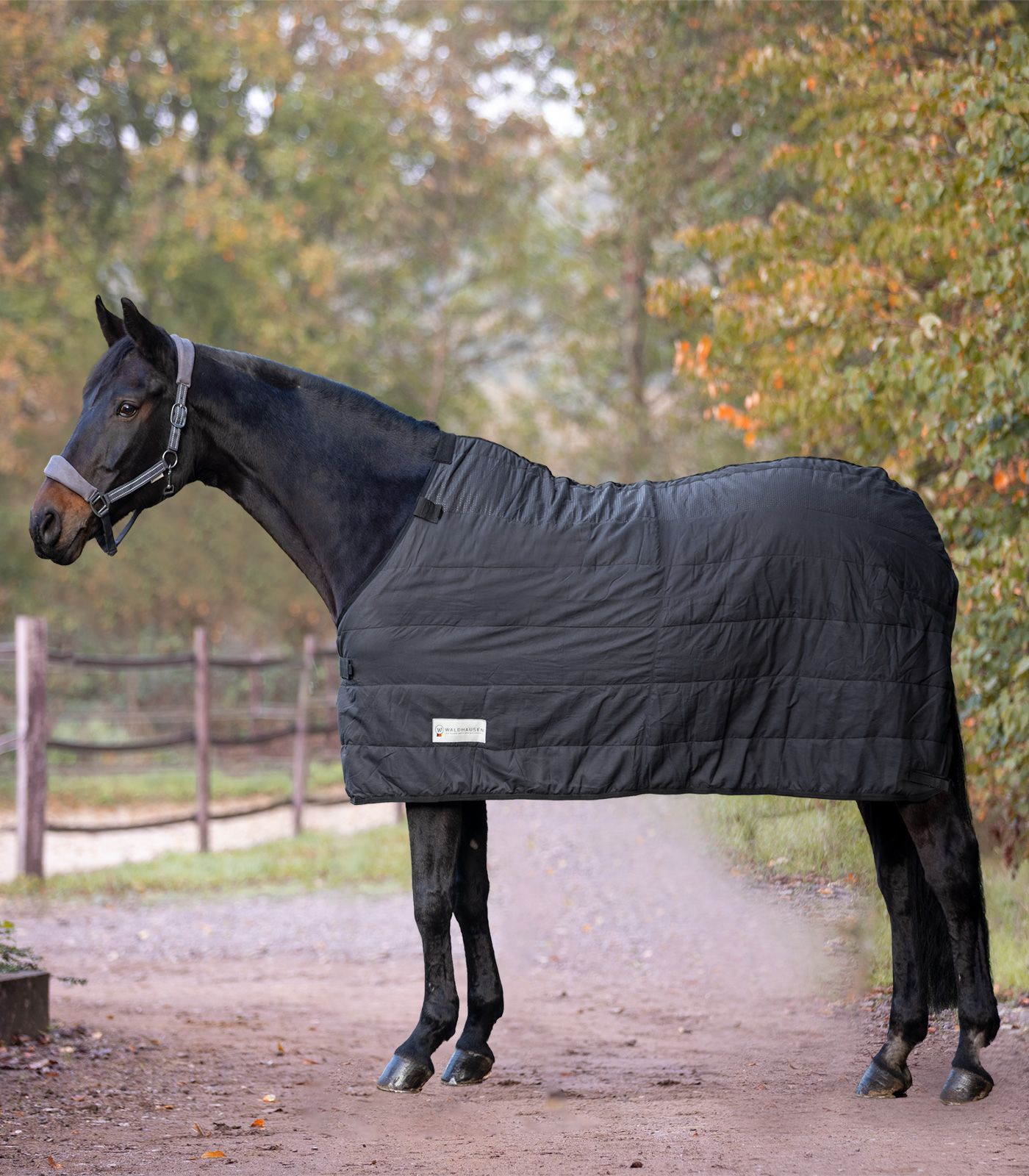Waldhausen Thermal Underrug, 200 g black