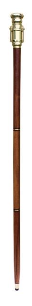Käpp med teleskop  - 3
