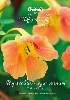7436  Weibulls Krasse, busk- Salmon Baby Tropaeolum majus nanum