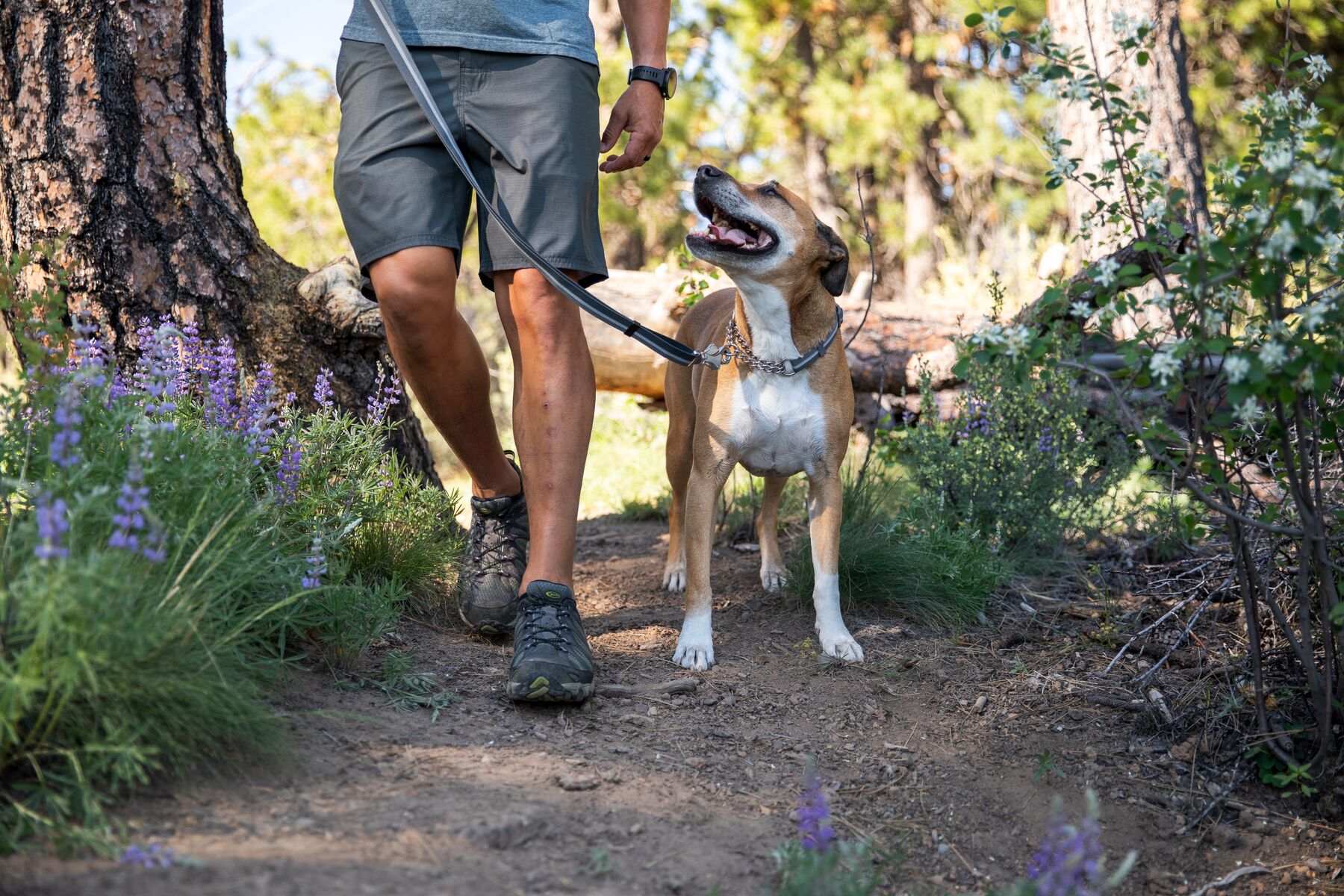 Ruffwear Chain Reaction™ Collar - Basalt Gray 