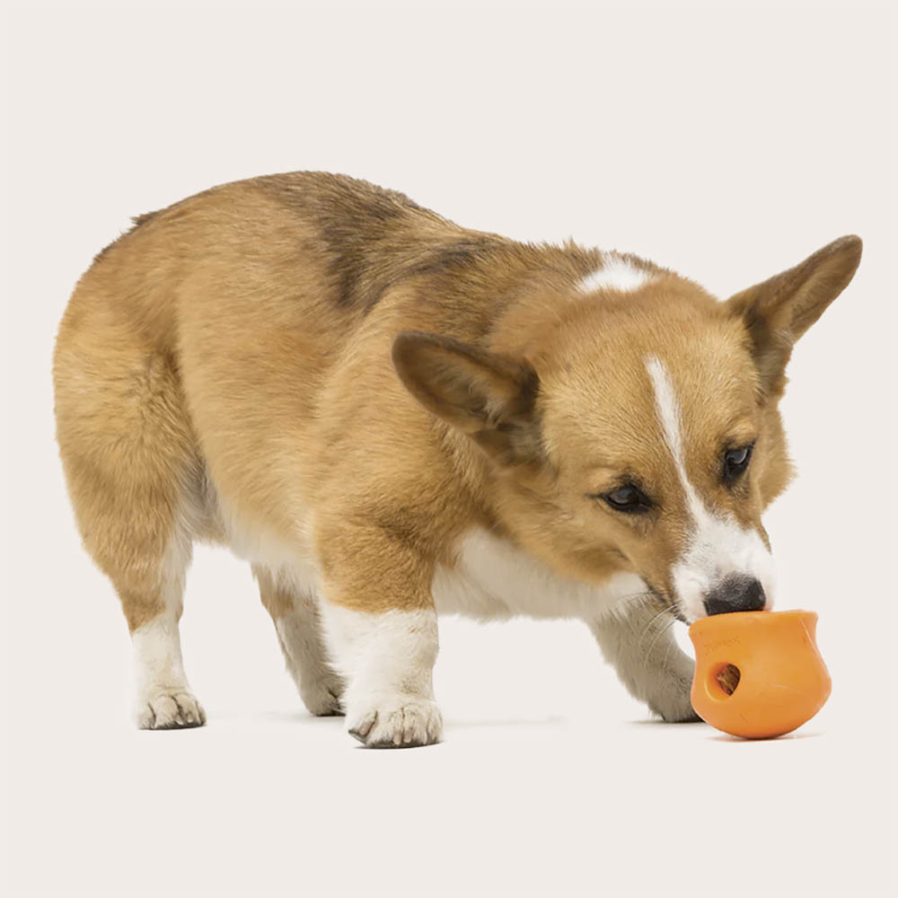 Zogoflex Toppl dog treat