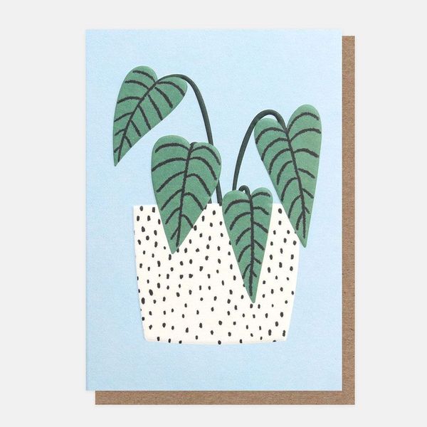 Plant In Pot, Greeting card