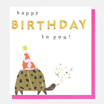 Happy Birthday To You Tortoise With Confetti, Greeting card