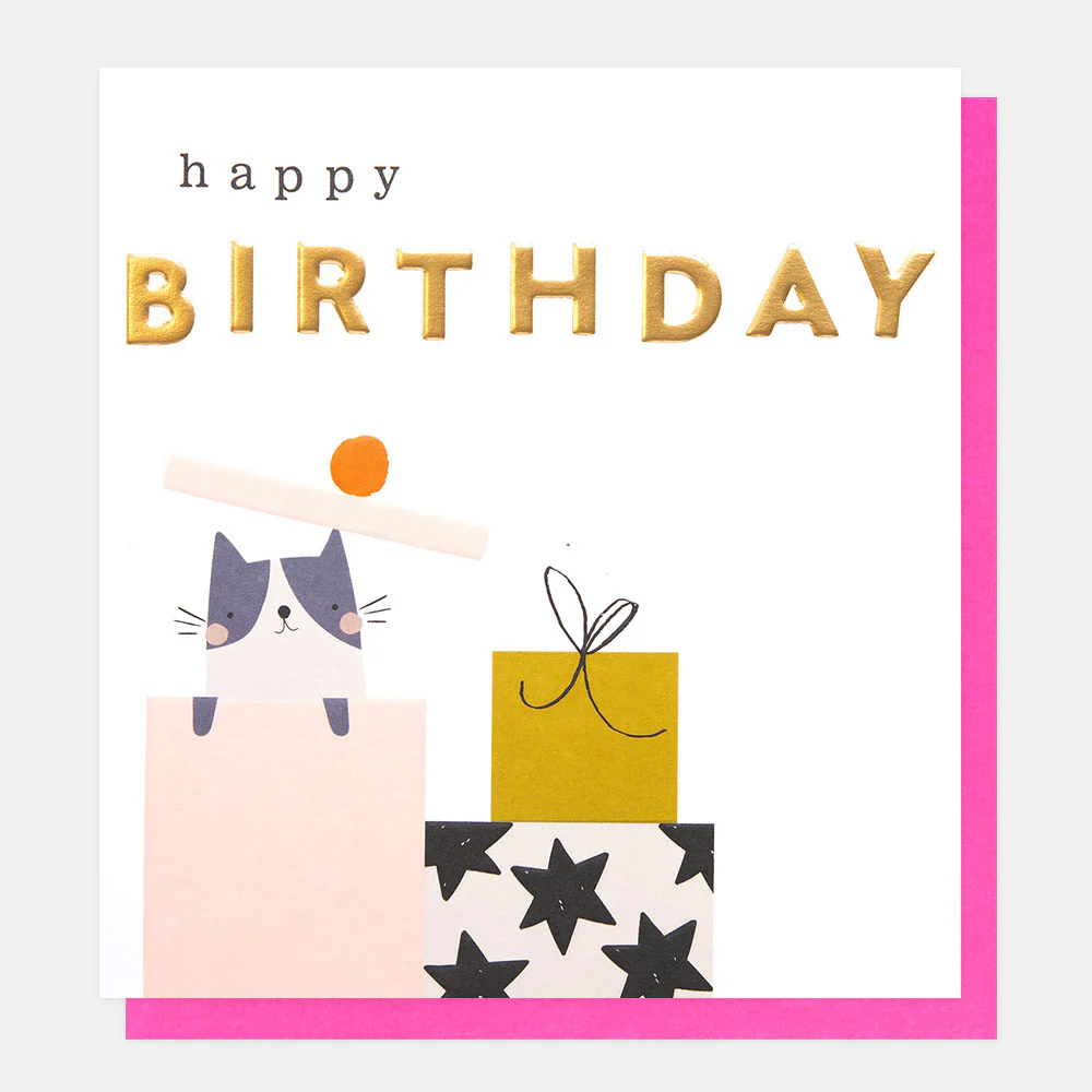 Happy Birthday Cat In Birthday Present Box, Greeting card