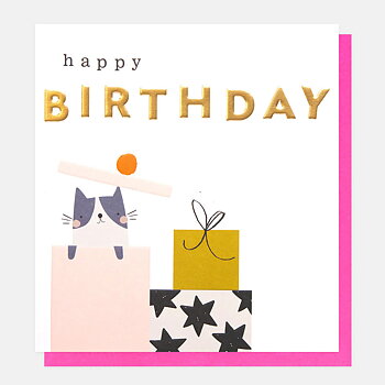 Happy Birthday Cat In Birthday Present Box, Greeting card