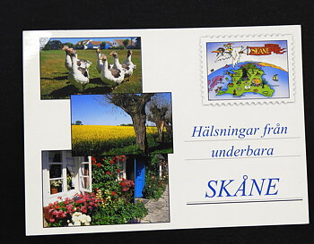 Vykort  Skåne 