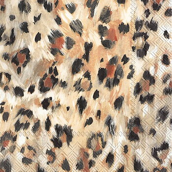 Leonard light brown Lunch