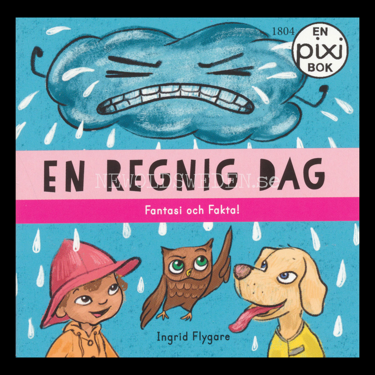 En regnig dag 1804 - P25