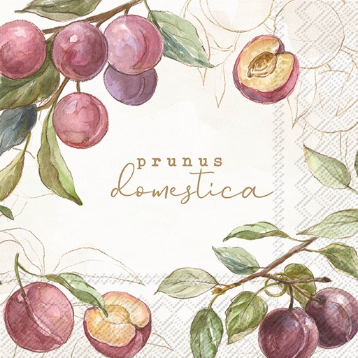 Country Plums Cream Lunch